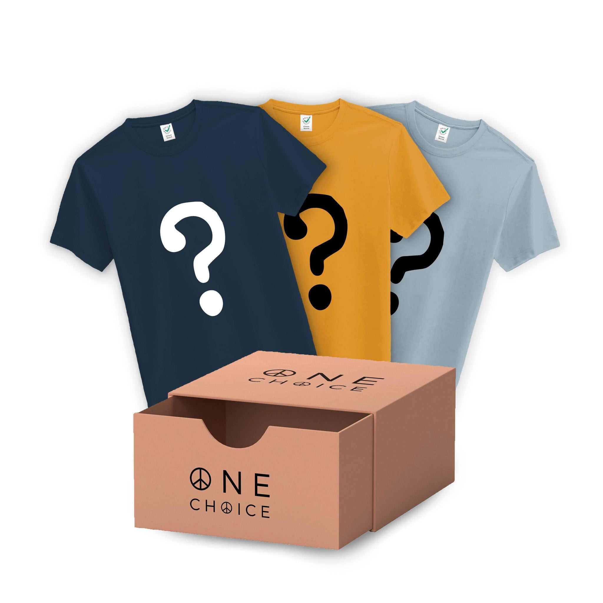 Lucky Dip Box / Three T Shirts - One Choice Apparel