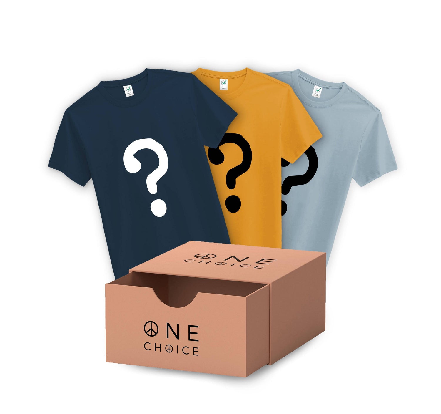 Lucky Dip Box / Three T Shirts - One Choice Apparel
